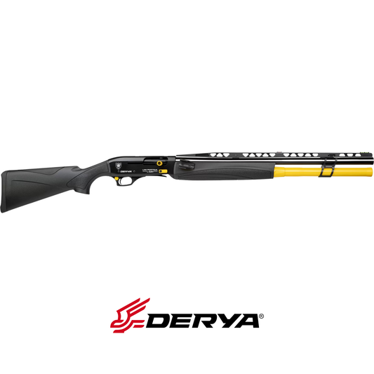 Derya Lion Practical