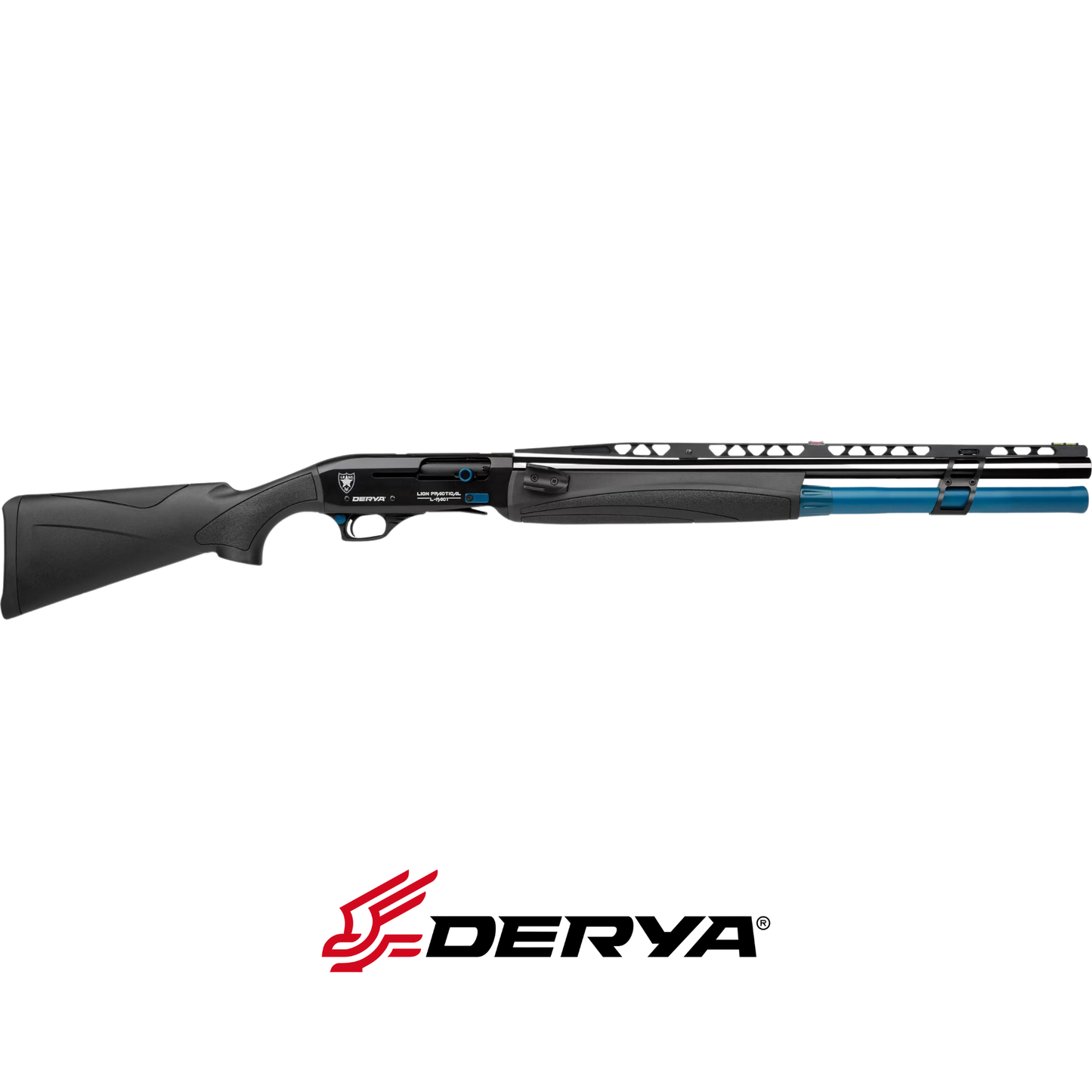 Derya Lion Practical